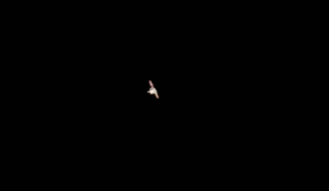 iss