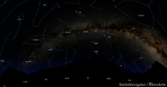 東星図線入り